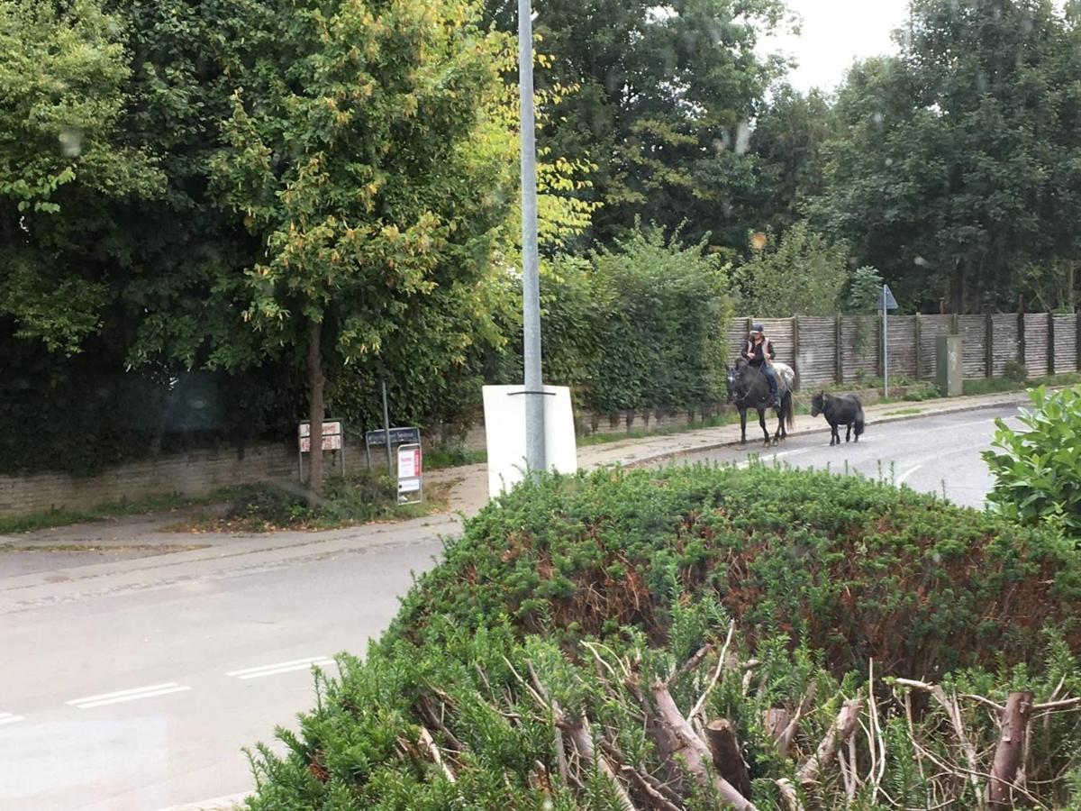 Jonstrupvejens Apartments Lejl B Ballerup Dış mekan fotoğraf